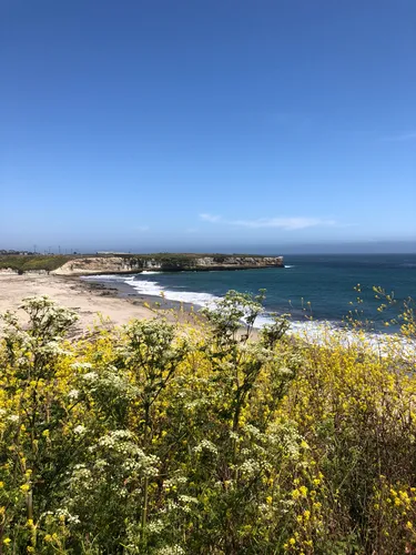 Best Hard Trails in Wilder Ranch - EyJidWNrZXQiOiJhc3NldHMuYWxsdHJhaWxzLmNvbSIsImtleSI6InVwbG9hZHMvcGhvdG8vaW1hZ2UvMjA1NTczODkvMDc3NThhMTQ4NGJlNzQwMzZkZjllYTAzZDA3N2M5MjkuanBnIiwiZWRpdHMiOnsidG9Gb3JtYXQiOiJ3ZWJwIiwicmVzaXplIjp7IndpZHRoIjo1MDAsImhlaWdodCI6NTAwLCJmaXQiOiJpbnNpZGUifSwicm90YXRlIjpudWxsLCJqcGVnIjp7InRyZWxsaXNRdWFudGlzYXRpb24iOnRydWUsIm92ZXJzaG9vdERlcmluZ2luZyI6dHJ1ZSwib3B0aW1pc2VTY2FucyI6dHJ1ZSwicXVhbnRpc2F0aW9uVGFibGUiOjN9fX0=