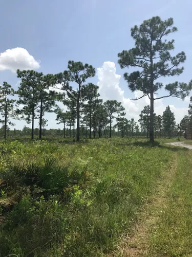 Best Hikes And Trails In Split Oak Forest Wildlife And Environmental 