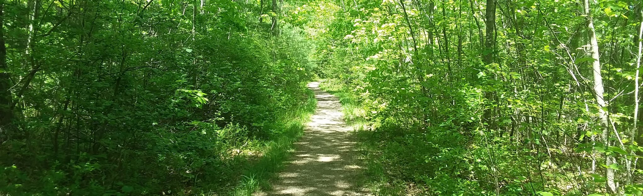 Smith Preserve Long Loop, Maine - 593 Reviews, Map | AllTrails
