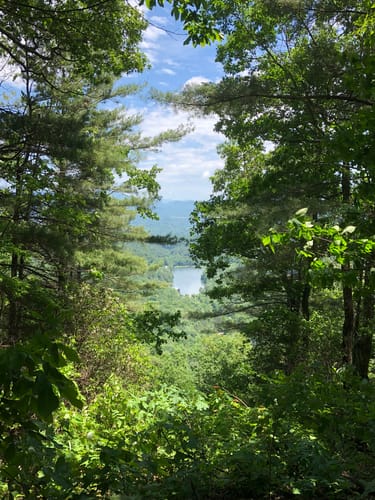 Vogel State Park Hiking Best 10 Trails In Vogel State Park | Alltrails