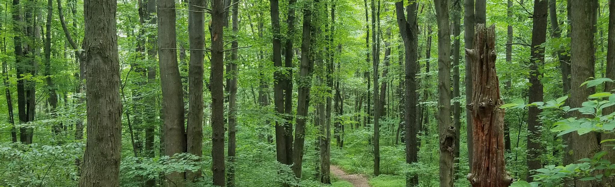 Silver Springs Park 41 Reviews, Map Ohio AllTrails