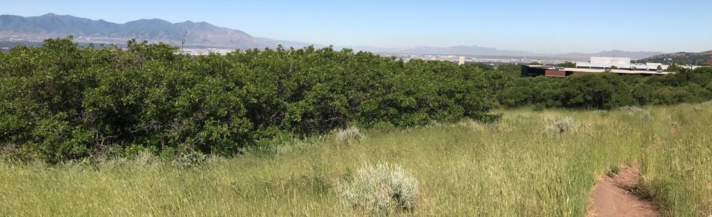 Hiking City Creek Canyon - Salt Lake City - Road Trip Ryan