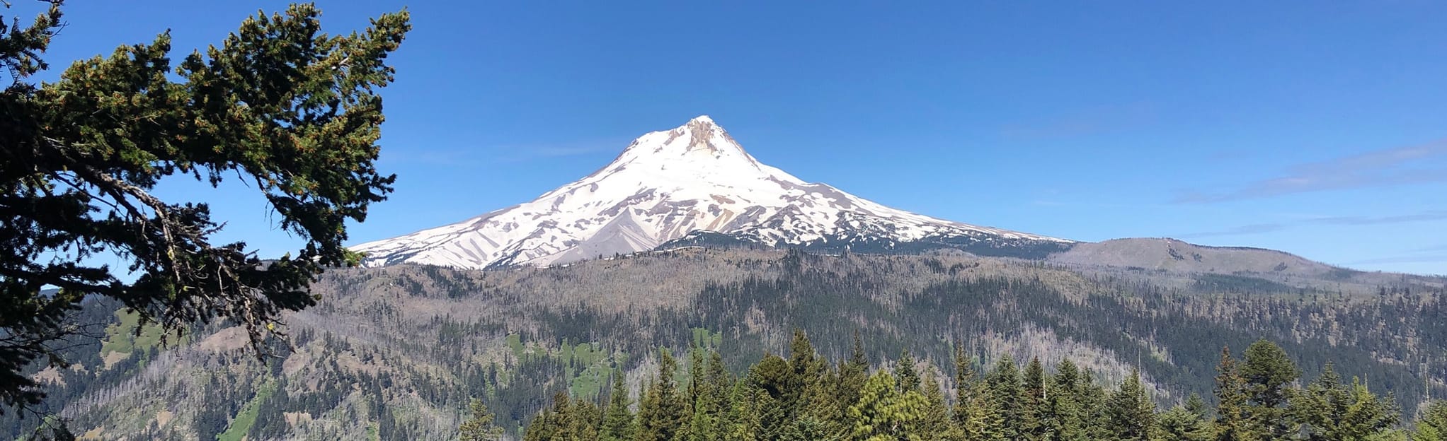 Gunsight Butte Trail 44 Reviews, Map Oregon AllTrails