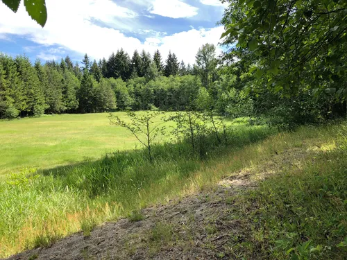 10 Best Walking Trails in Cougar - EyJidWNrZXQiOiJhc3NldHMuYWxsdHJhaWxzLmNvbSIsImtleSI6InVwbG9hZHMvcGhvdG8vaW1hZ2UvMjA1NzgyMDEvYmNlNGIyMDUwYjNhNDE1N2VmOGY1ZDU1MTE2NmNjYzEuanBnIiwiZWRpdHMiOnsidG9Gb3JtYXQiOiJ3ZWJwIiwicmVzaXplIjp7IndpZHRoIjo1MDAsImhlaWdodCI6NTAwLCJmaXQiOiJpbnNpZGUifSwicm90YXRlIjpudWxsLCJqcGVnIjp7InRyZWxsaXNRdWFudGlzYXRpb24iOnRydWUsIm92ZXJzaG9vdERlcmluZ2luZyI6dHJ1ZSwib3B0aW1pc2VTY2FucyI6dHJ1ZSwicXVhbnRpc2F0aW9uVGFibGUiOjN9fX0=