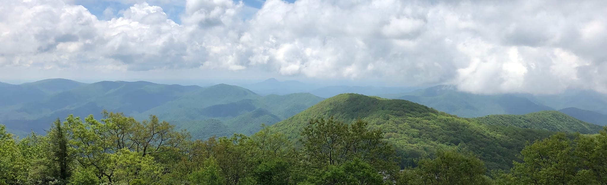 Brasstown Bald via Jack's Gap, 741 Reviews, Map AllTrails