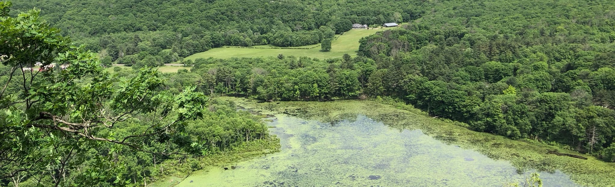 Mattabesett Trail to Lone Pine Trail Loop 1.244 fotos Connecticut