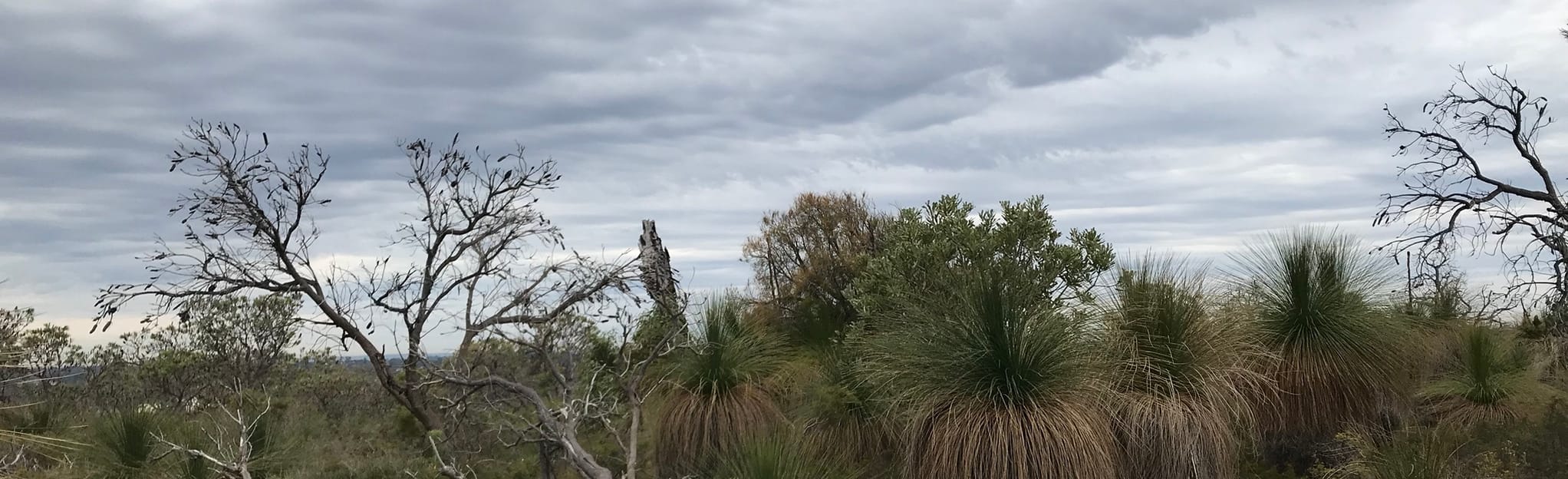 Hepburn Heights Conservation Area 56 Reviews, Map Western Australia