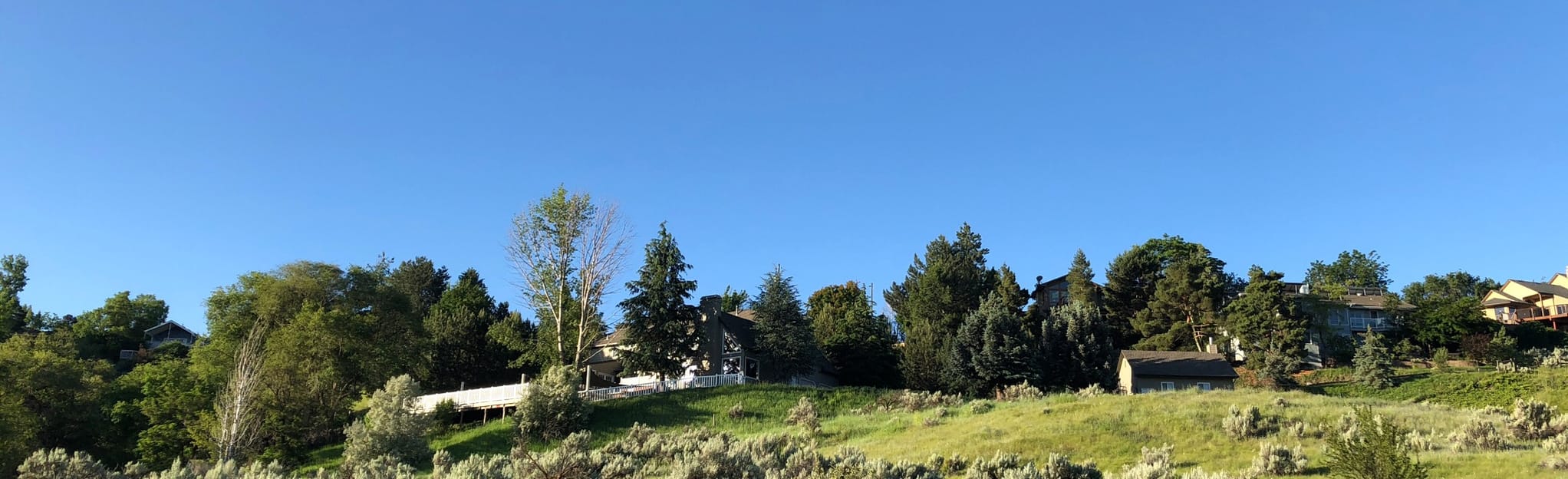 Cottonwood Creek Trail to Toll Road Trail, Idaho 438 Reviews, Map