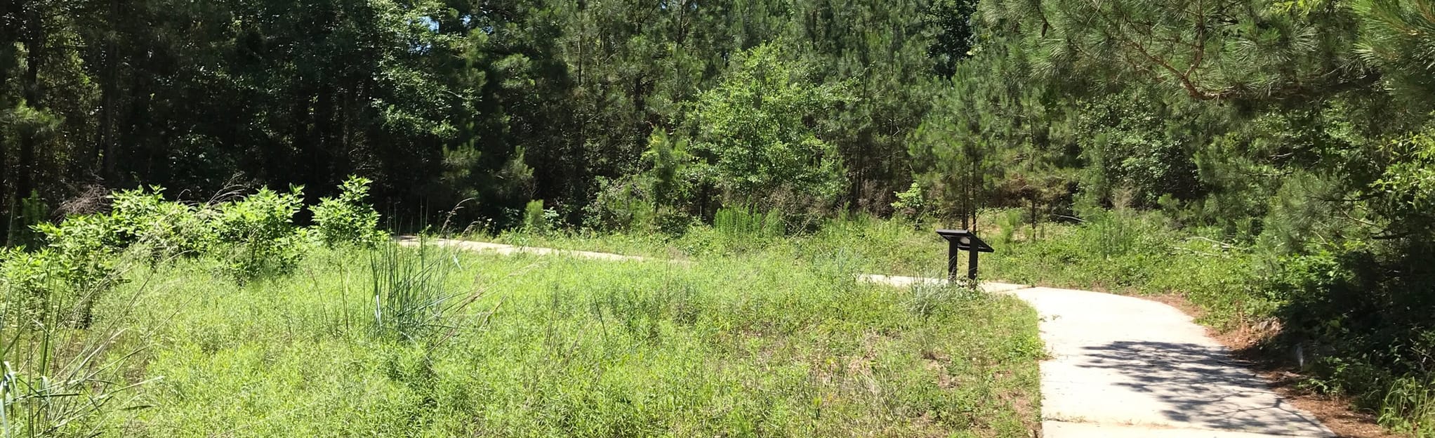 Nags Head Woods ADA Trail 31 Reviews, Map North Carolina AllTrails