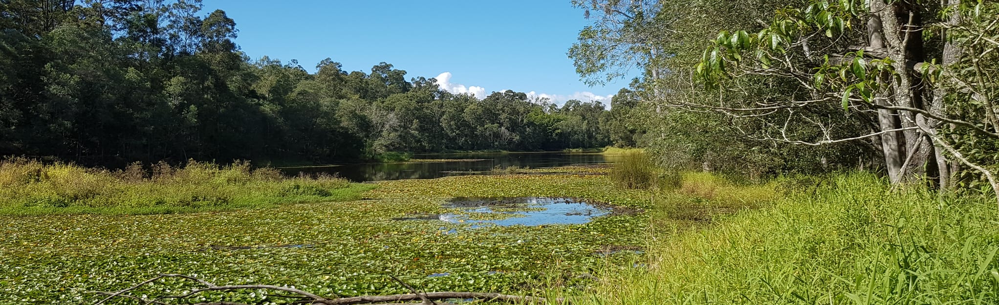 Enoggera Reservoir Circuit, Queensland, Australia 1,499 Reviews, Map