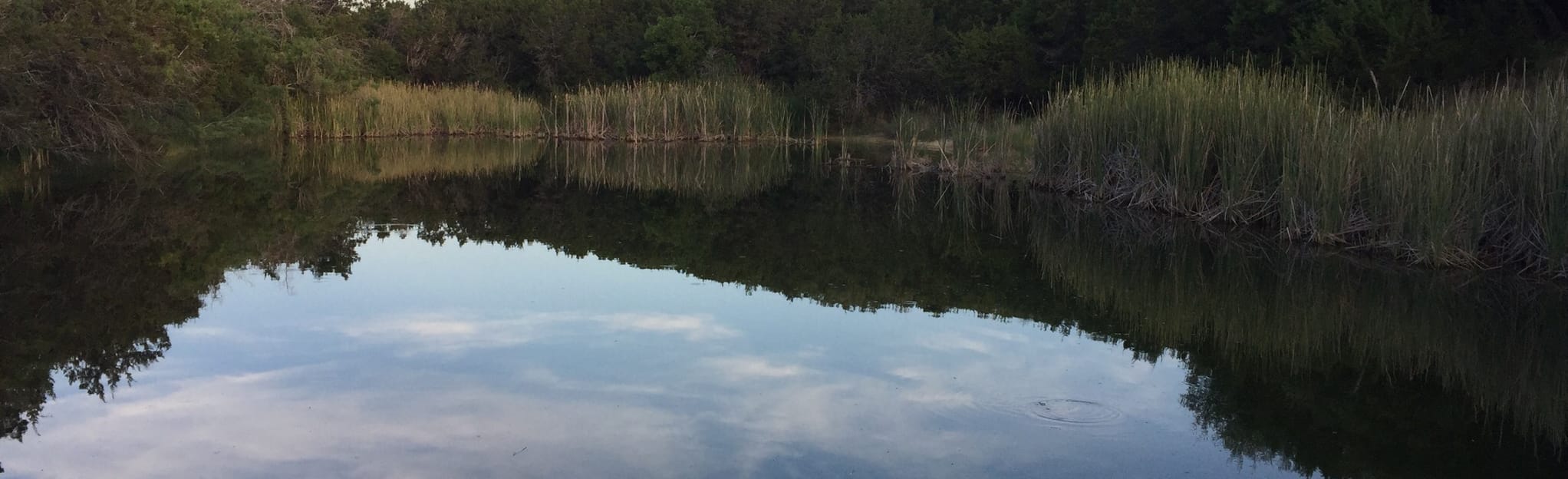 Spring Lake Preserve Loop Map, Guide Texas AllTrails