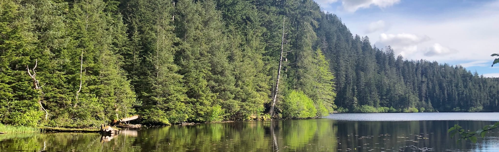 Herring Cove Trail, Alaska 174 Reviews, Map AllTrails