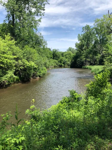 10 Best Hikes and Trails in Willow River State Park | AllTrails