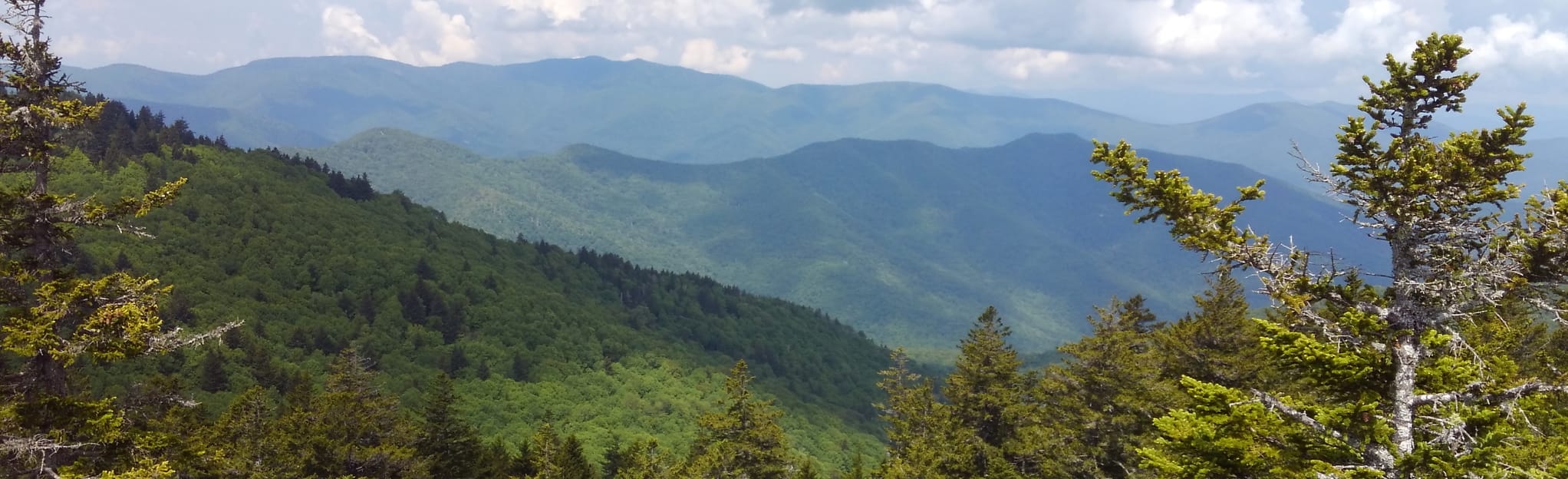 Shining Rock via Shining Creek Path: 240 Reviews, Map - North Carolina ...