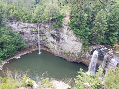 are dogs allowed at fall creek falls state park