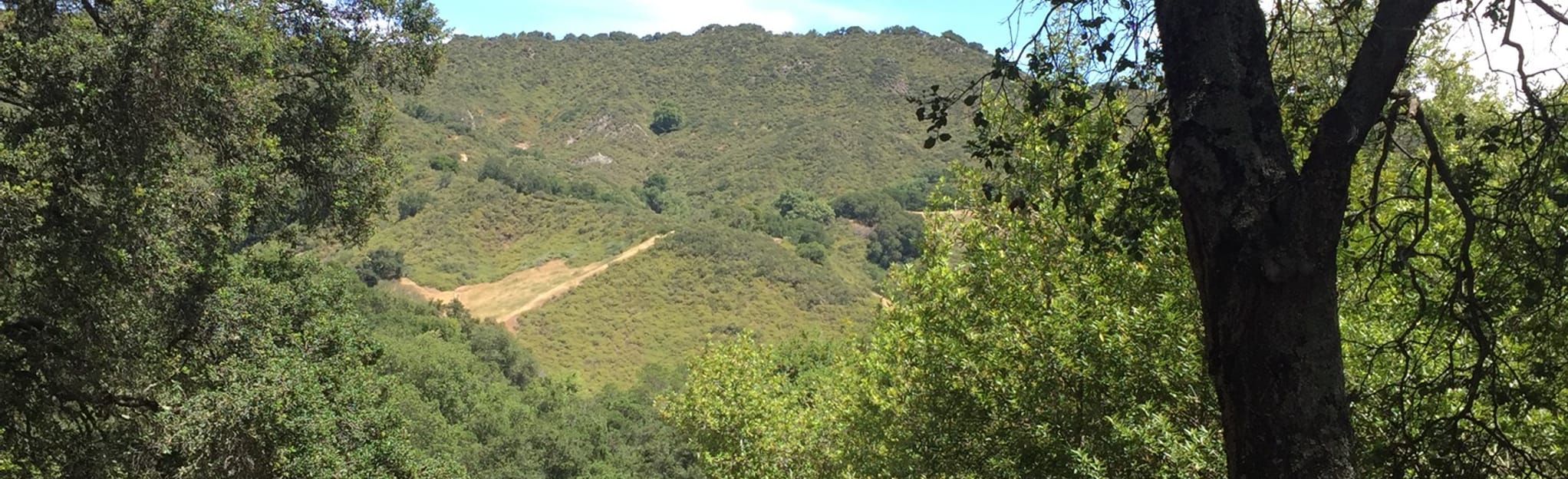 Elderberry to Cuesta Loop California AllTrails