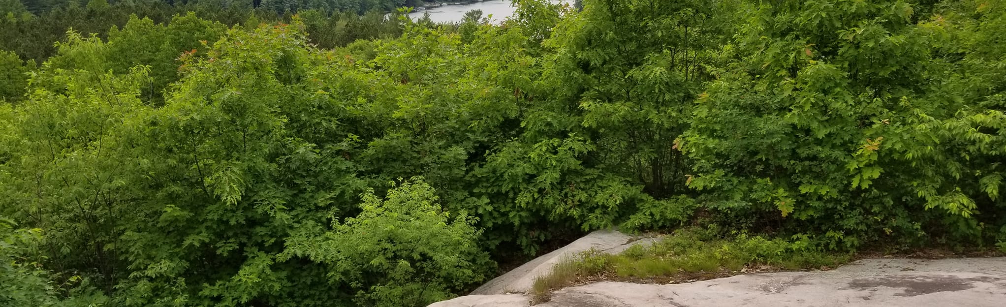 Chute Pond Overlook Loop 35 Reviews, Map Wisconsin AllTrails