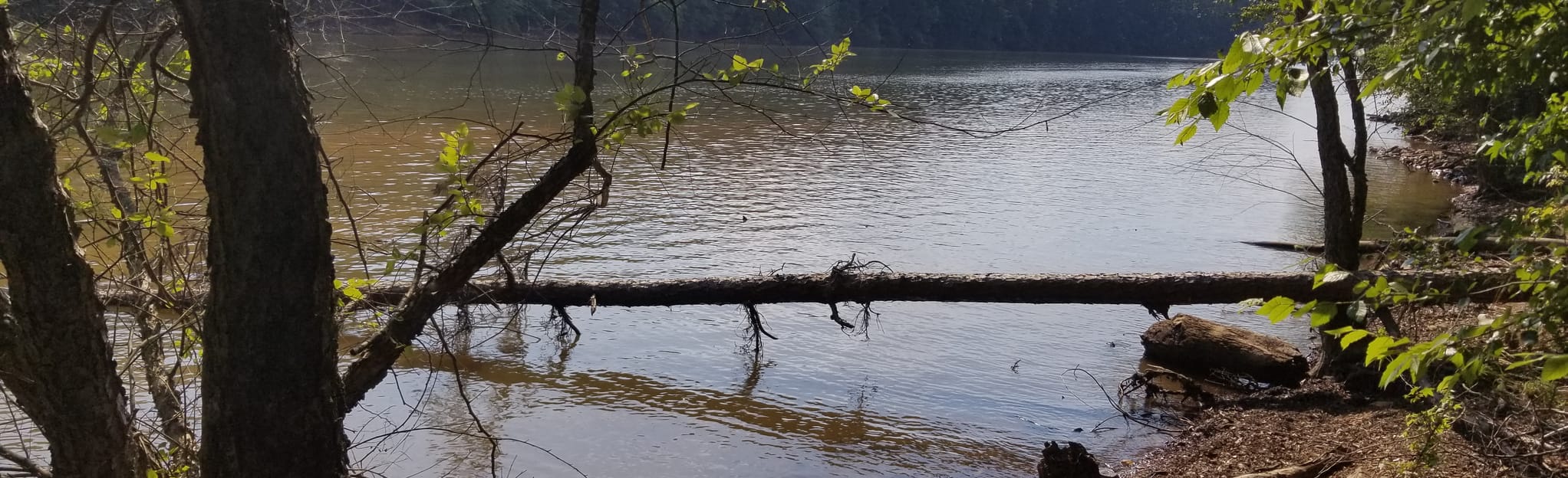 South Loop (Advanced), 296 Reviews, Map AllTrails