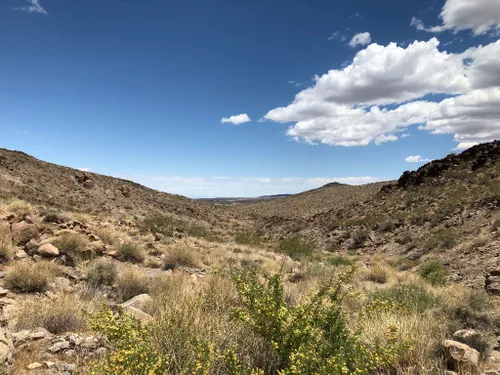 Best 10 Hikes and Trails in Sloan Canyon National Conservation Area