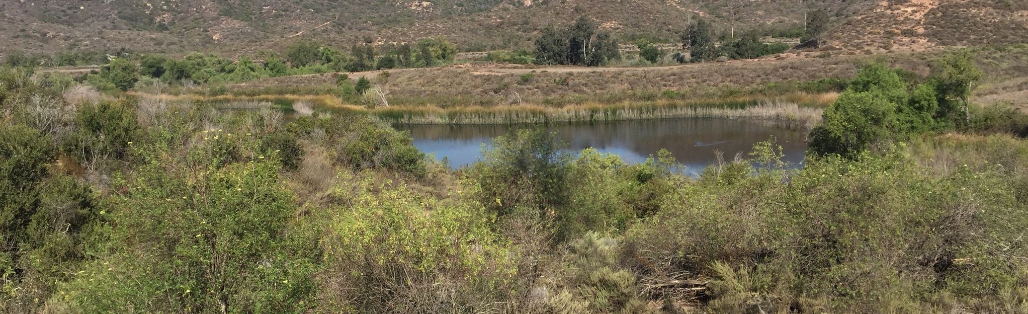 Marys and West Coast Canyon Trail to Edison Road Loop, California 139