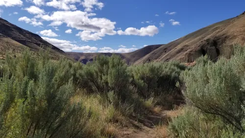 Best hikes hotsell in cottonwood canyon