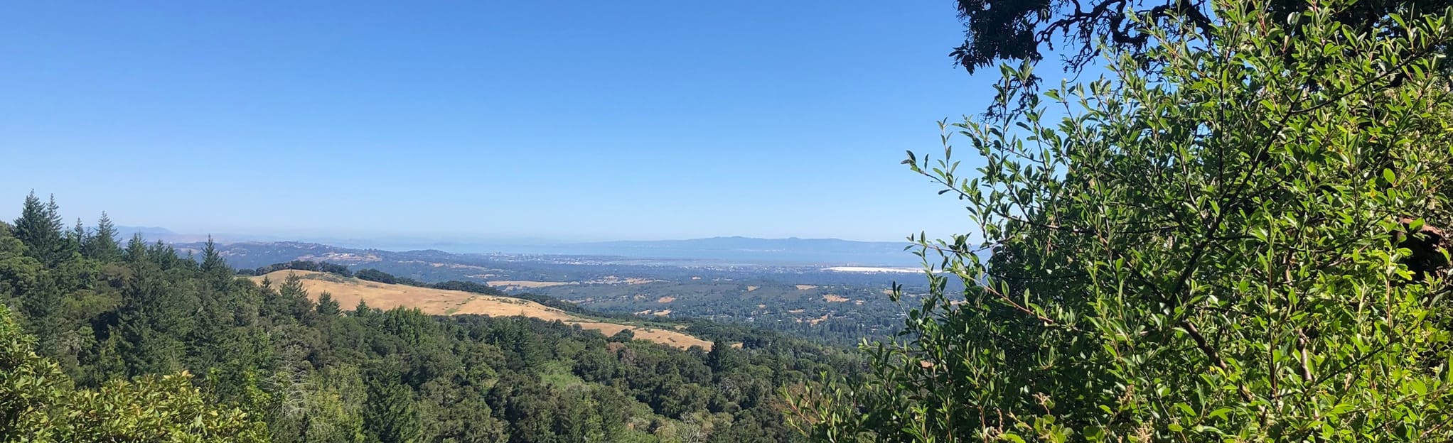 Razorback Ridge Trail, California - 86 Reviews, Map | AllTrails