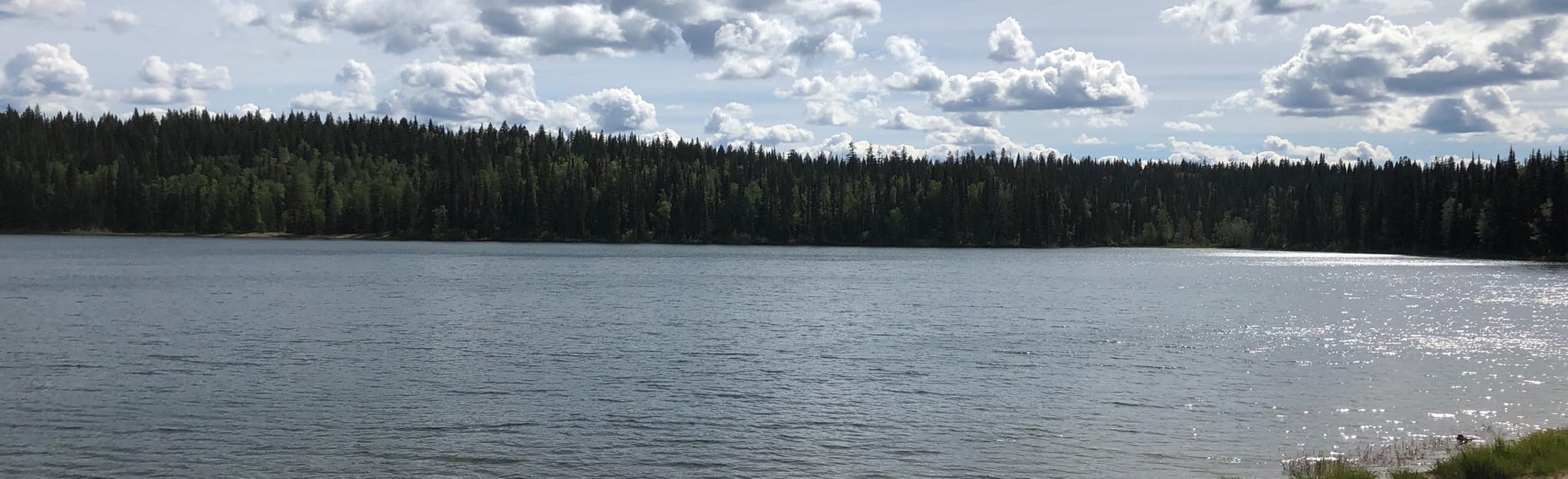 Bear Lake, British Columbia, Canada 22 Reviews, Map AllTrails