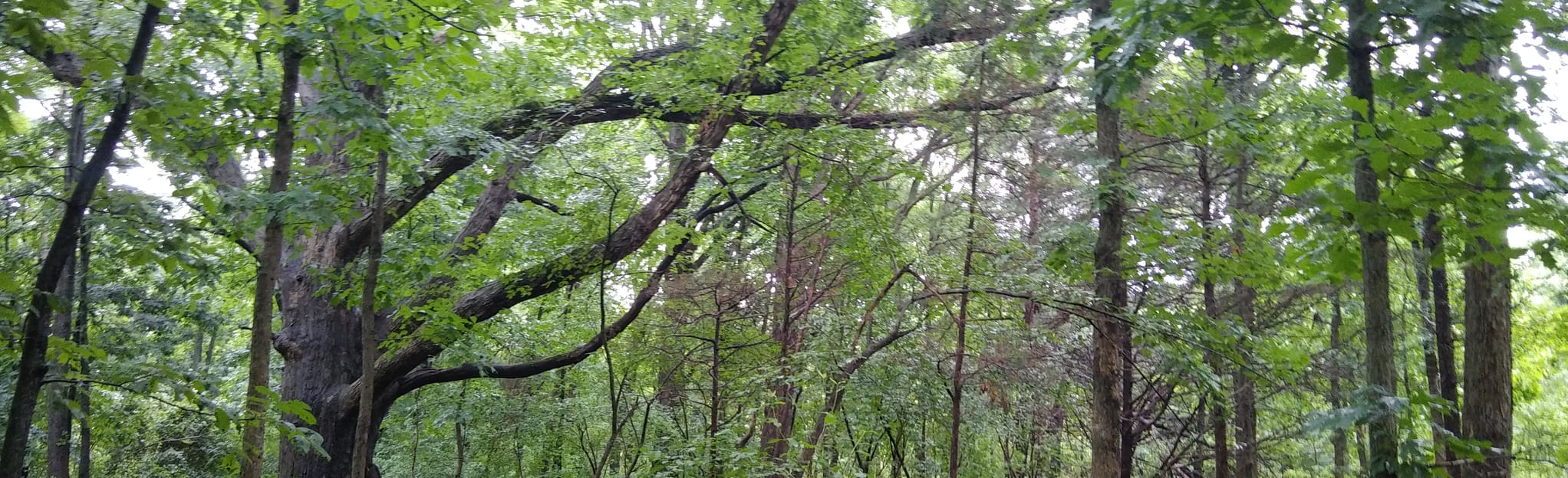 Bunker Hill Trails, New Jersey 107 Reviews, Map AllTrails