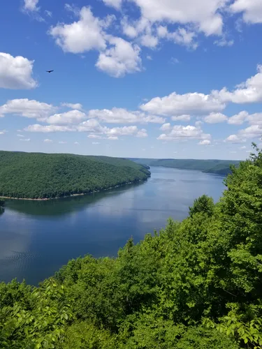 Allegheny national 2025 forest best hikes