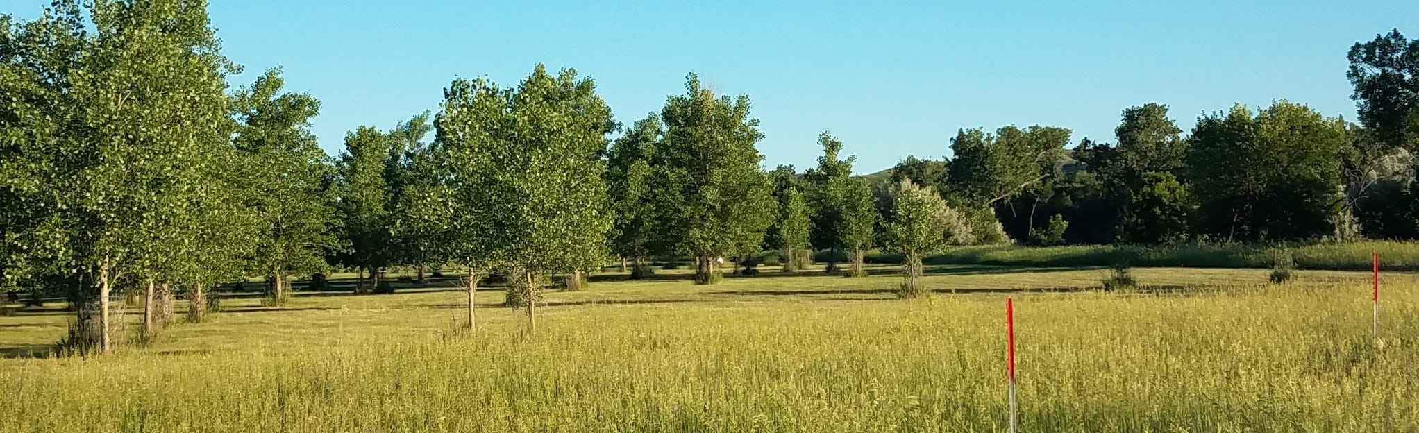La Framboise Island Loop, South Dakota 134 Reviews, Map AllTrails
