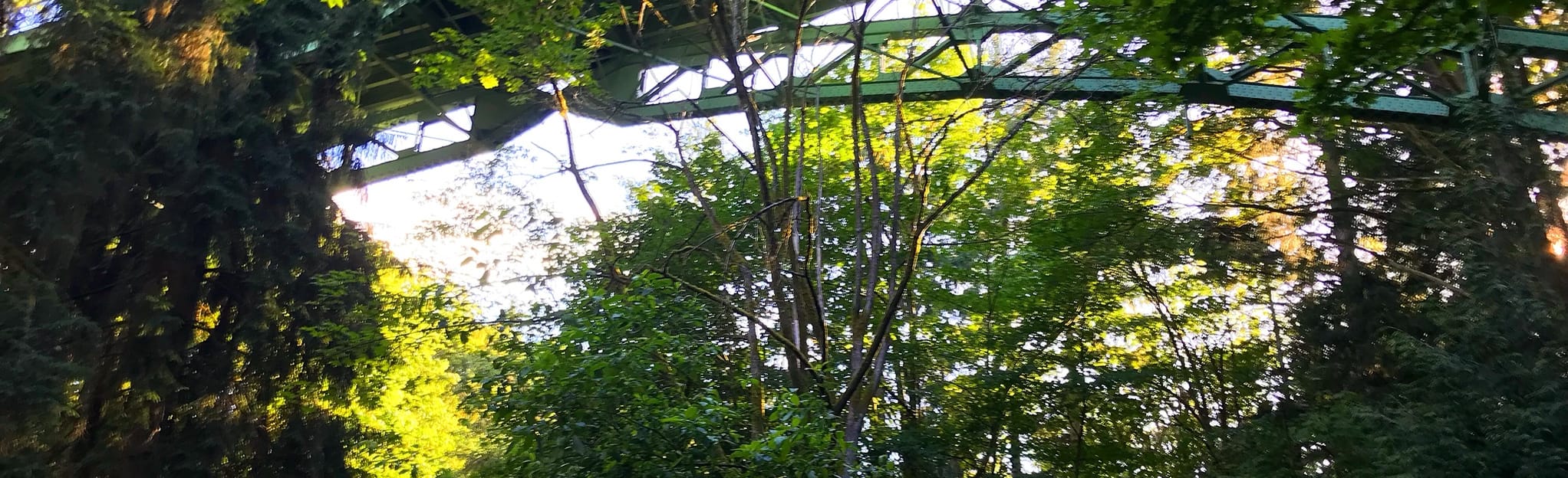 Ravenna Creek Trail, Washington 170 Reviews, Map AllTrails