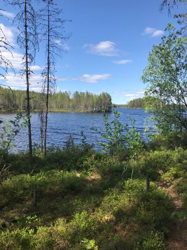 Best 10 Trails in Salamajärvi National Park | AllTrails