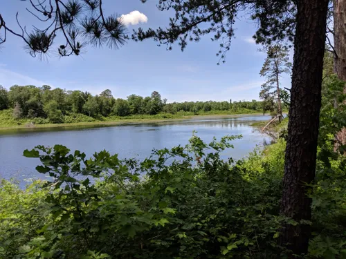 10 Best Hikes and Trails in Itasca State Park | AllTrails