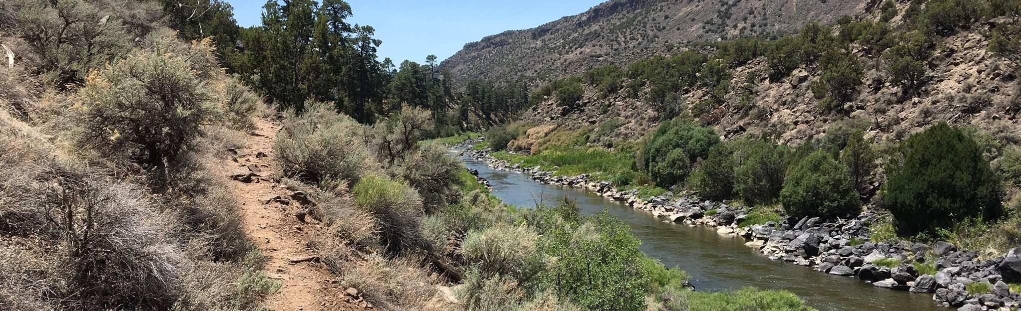 Cebolla Mesa and Big Arsenic Trails New Mexico AllTrails