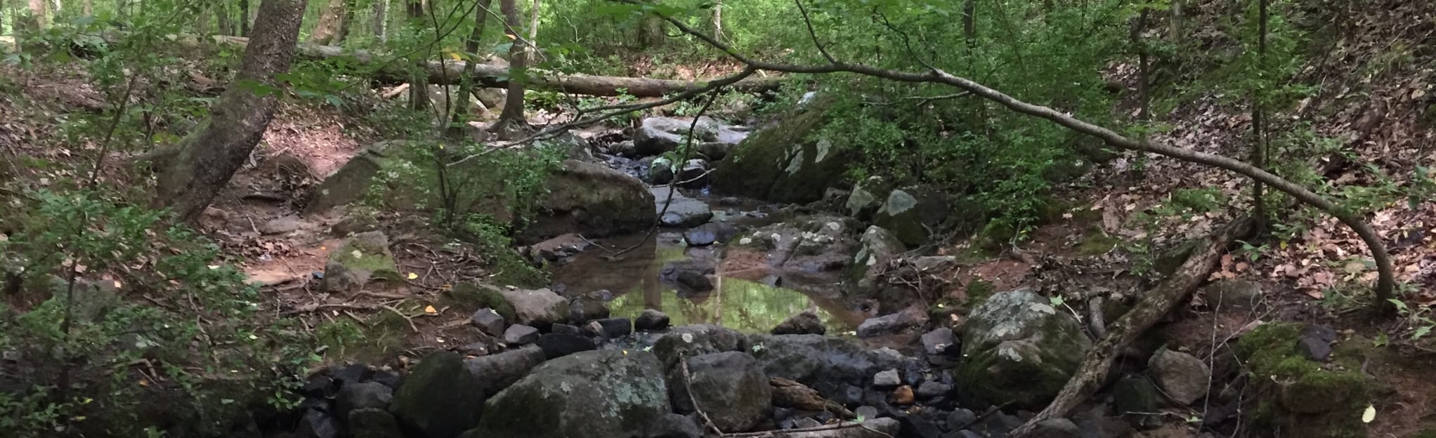 Pine Hollow Trail, Four Seasons Trail, and Creekside Trail Loop, South