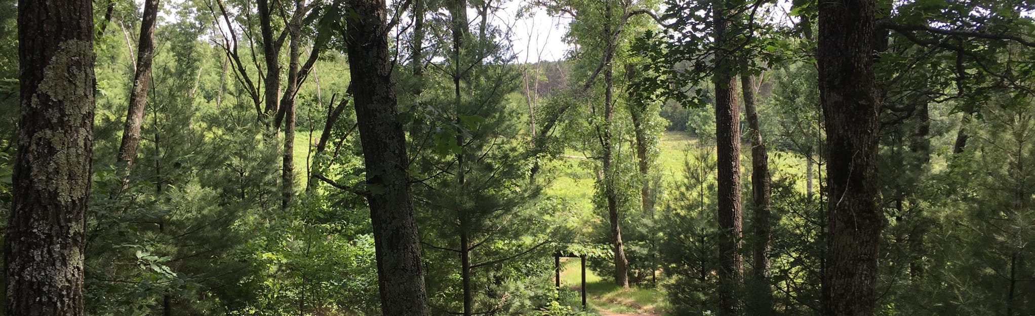 Ice Age Trail Hartman Creek, Wisconsin 226 Reviews, Map AllTrails