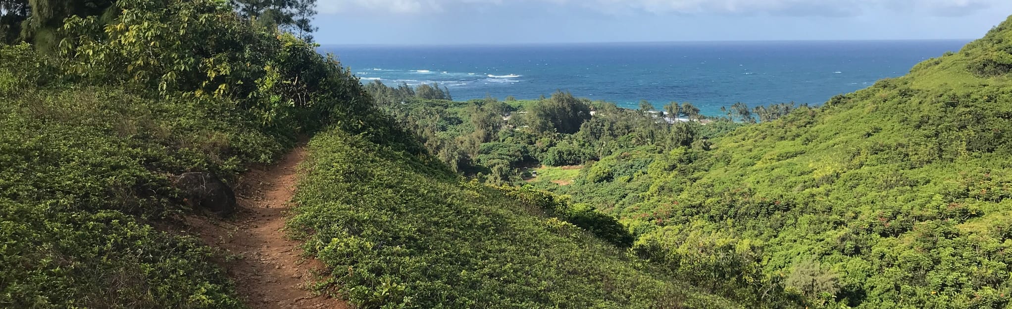 KaipapauKoloa Loop [PRIVATE PROPERTY], Oahu, Hawaii 54 Reviews, Map