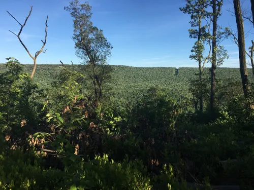 rothrock state forest mountain biking