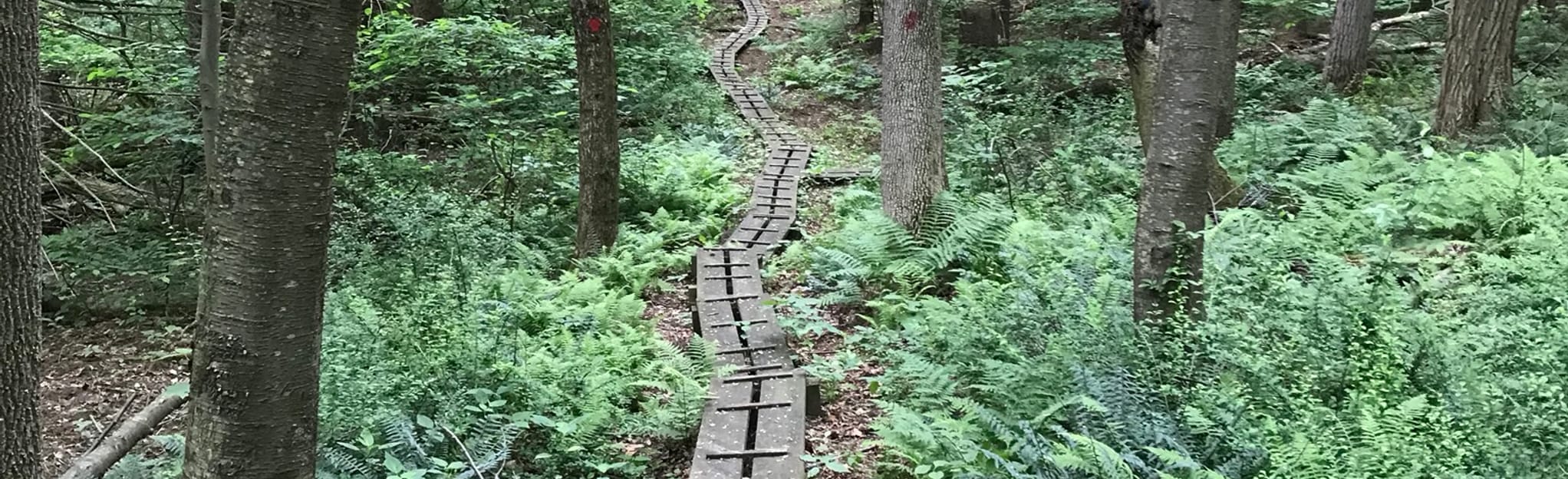 Pawling Nature Preserve Red and Blue Loop, New York 17 Reviews, Map AllTrails