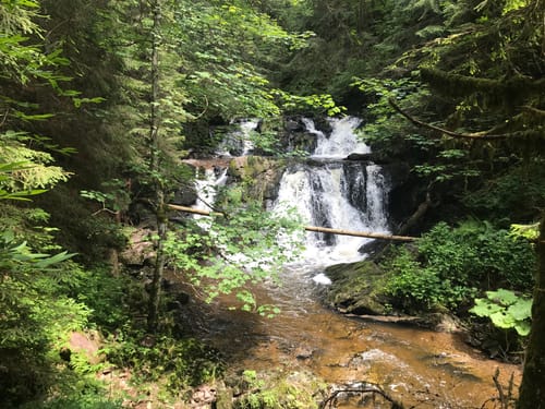 Rötenbachschlucht (Genießerpfad)