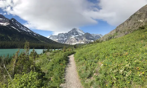 Colorful Wildflowers Hydro Flask - Glacier National Park Conservancy