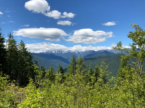 walker マウンテンリサーチ　mountain research bush