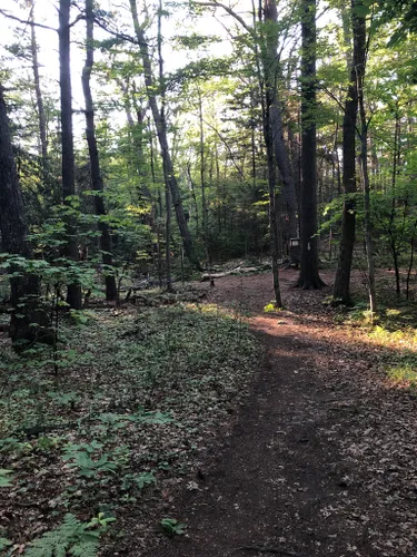 10 Best Trails and Hikes in Cape Elizabeth | AllTrails