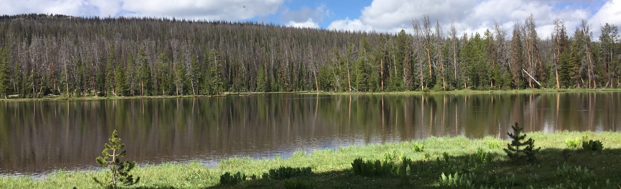Pinto, Governor Dern, Allen, Daynes, Thompson, Four Lakes Basin Loop