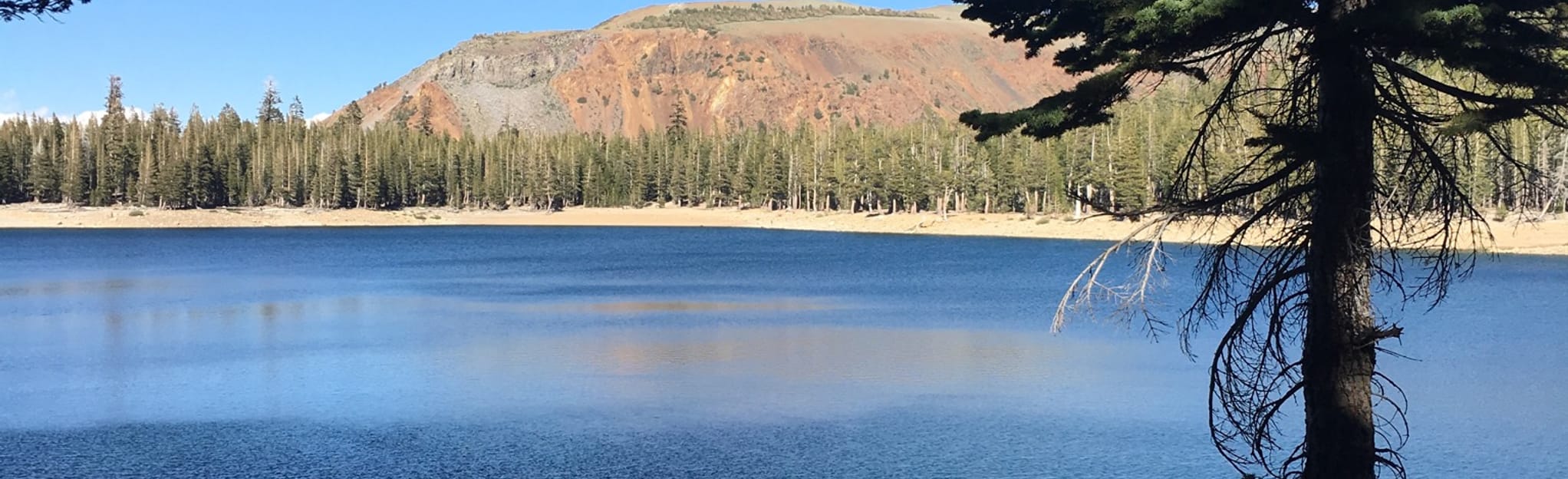 Horseshoe Lake Trail 335 Reviews, Map California AllTrails