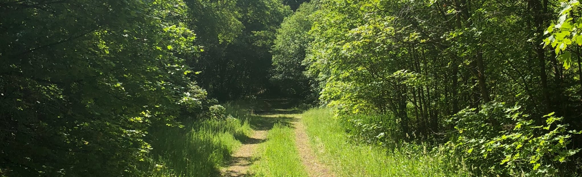 Butterfield Canyon and Middle Canyon Road, Utah 188 Reviews, Map