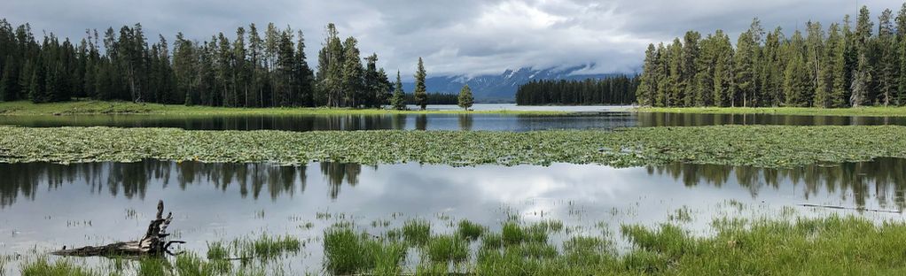 Super Cub: Review and Reflection At The Halfway Point