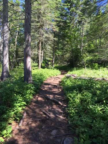 Superior national hotsell hiking trail