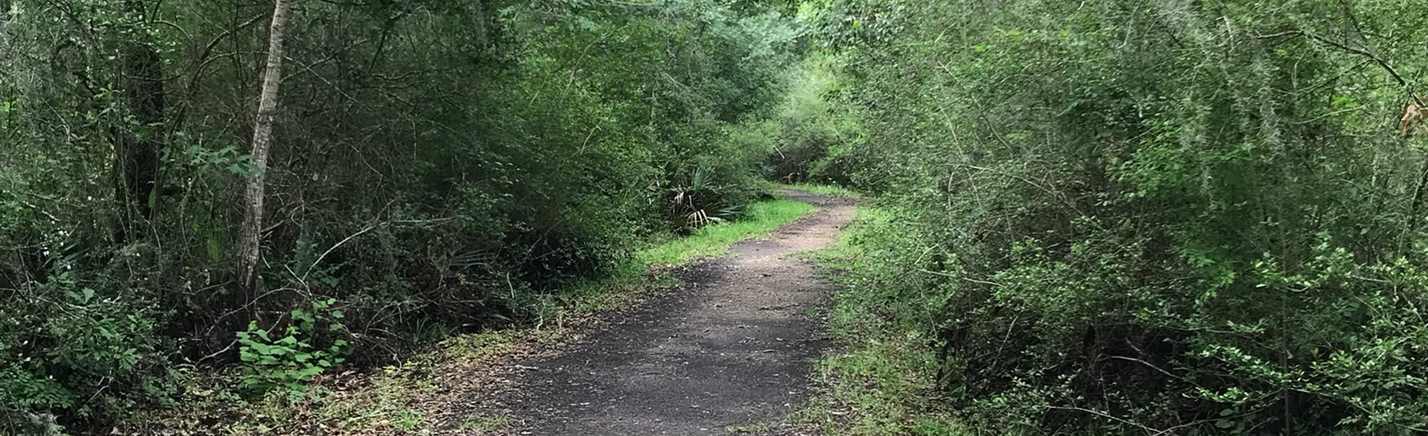 Lake Jackson Forest Trail, Texas 25 Reviews, Map AllTrails