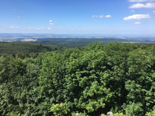 Auf den Donnersberg